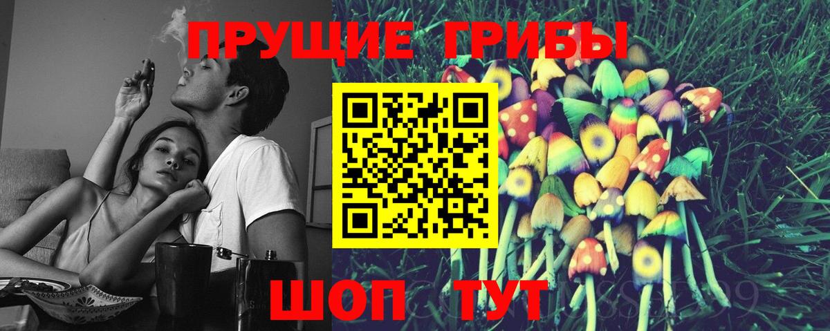 где продают   Вход с VPN  Верхняя Салда  Галлюциногенные грибы Psilocybine cubensis 